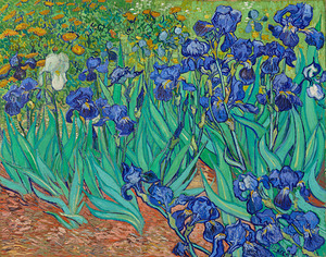 QCL 1204 – Irises Vincent van Gogh