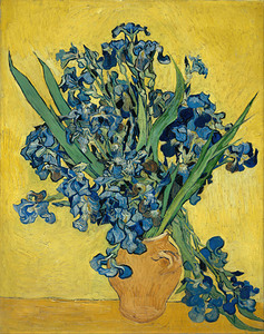 QCL 1205 – Irises Vincent van Gogh