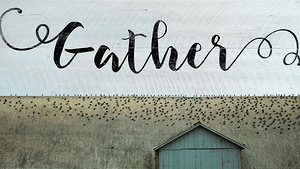 QMF 004 – Gather