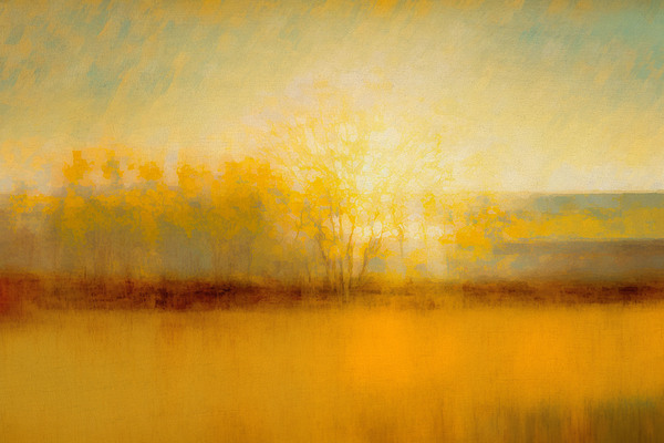 QLN 1041 – Tree of Light by Masterwork Reimagined