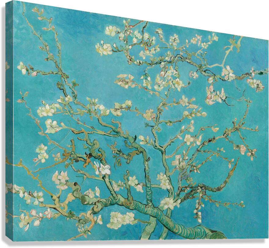 QAC 002 – Cherry Blossoms by Vincent van Gogh . Canvas Print