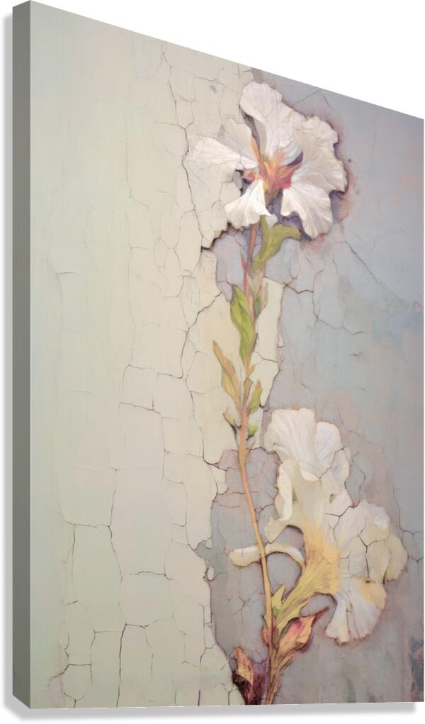 QFB 1064 – Delicate Wallflower Fresco Floral.jp Canvas Print
