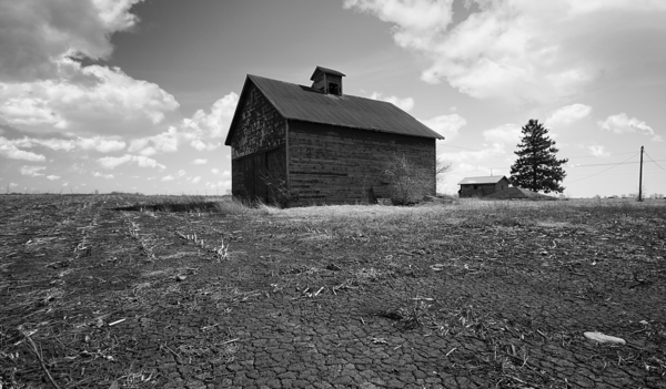 Illinois soil by Southwest Six