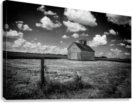 posted il Canvas Print