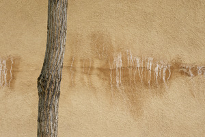 Ghosts of Chimayo