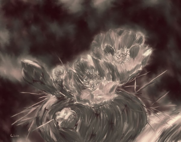 Dreams of Life Print