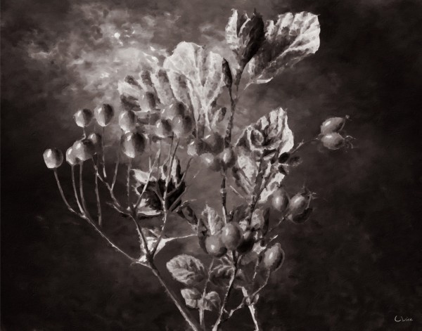 Fall Remembers Print