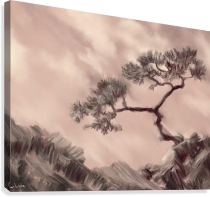 Twisted Pine Canvas Print