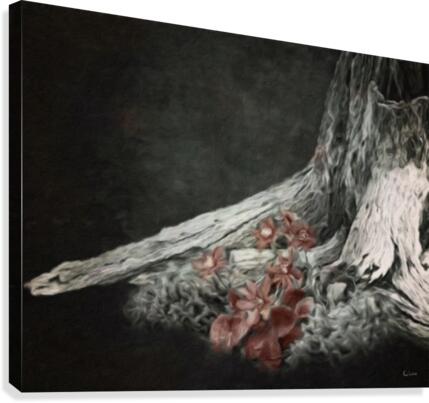 Coming Spring Canvas Print