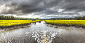 Broad River Plantation Marsh