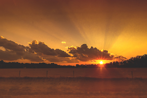 Golden Sunset Over the Fields