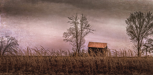 Rural Barn in Virginia Countryside