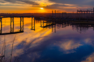Louisiana Explosion of Colors