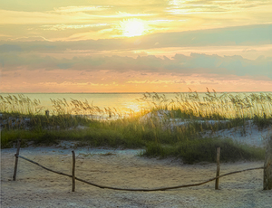 South Carolina Beach Morning