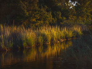 National Forest in Autumn
