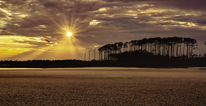 Myrtle Beach Sunset Preserve