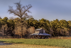 Old Myrtle Beach Barn