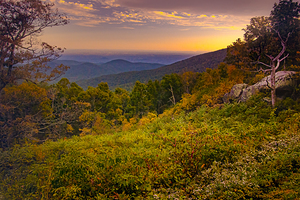 Blue Ridge Overlook in Autumn 1