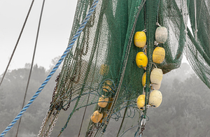 Carolina Fishing Buoys and Nets