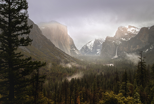 Yosemite in Winter Snow and Fog