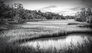 Low Country Marsh Pond