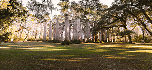 Old Sheldon Church Panorama