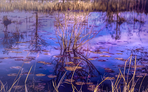 Tranquil Reflections at Dusk