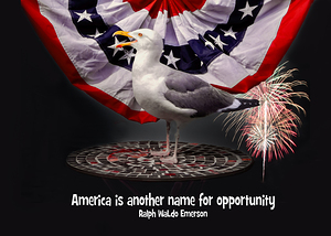 Patriotic American Flag Inspiration Fireworks 
