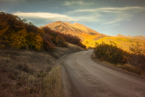 The Colorado Less Traveled Backroad Mountain Luminescence