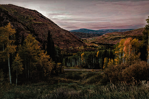 Aspen Glow in Snowmass