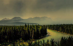 Out of the Haze on the Bow River