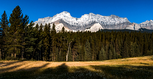 Minnewanka  Mountain Meadow