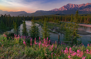 Banff Bow River Overlook