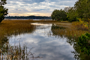 Beaufort Marsh Reflections