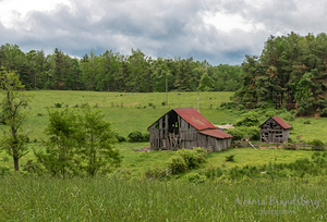 Farm on the Blue Ridge
