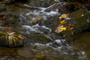 Blue Ridge Mountains River Art