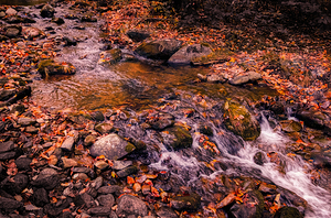 Blue Ridge Mountain Upstream
