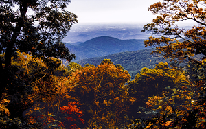 Autumn on the Blue Ridge Parkway