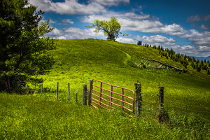 Farm Along the Blue Ridge Parkway in Spring