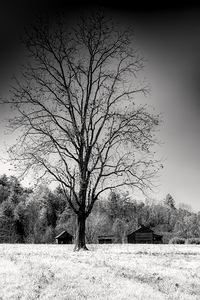 Smoky Mountains Farm Silhouette Infrared