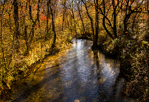 Imagine Heaven in a Forest River Glow
