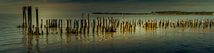 Chesapeake Bay Dock Poles