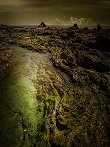 Little Corona del Mar Tidal Pool
