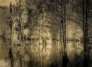 Glow of Winter Sunset Reflections