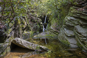 Duggers Creek Reflections