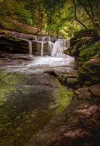 West Virginia Dunloup Creek Falls Vertical