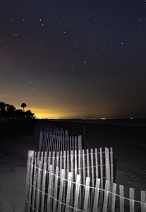 Edisto Island Beach Meandering Fence