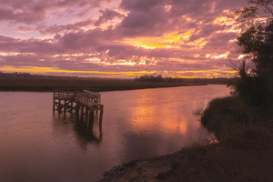 Edisto Island State Park Creek Sunset