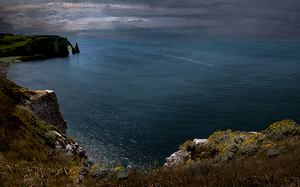Etretat Cliffside Wildflowers