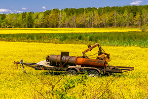 Rusty Farm Equipment in Yellow Field